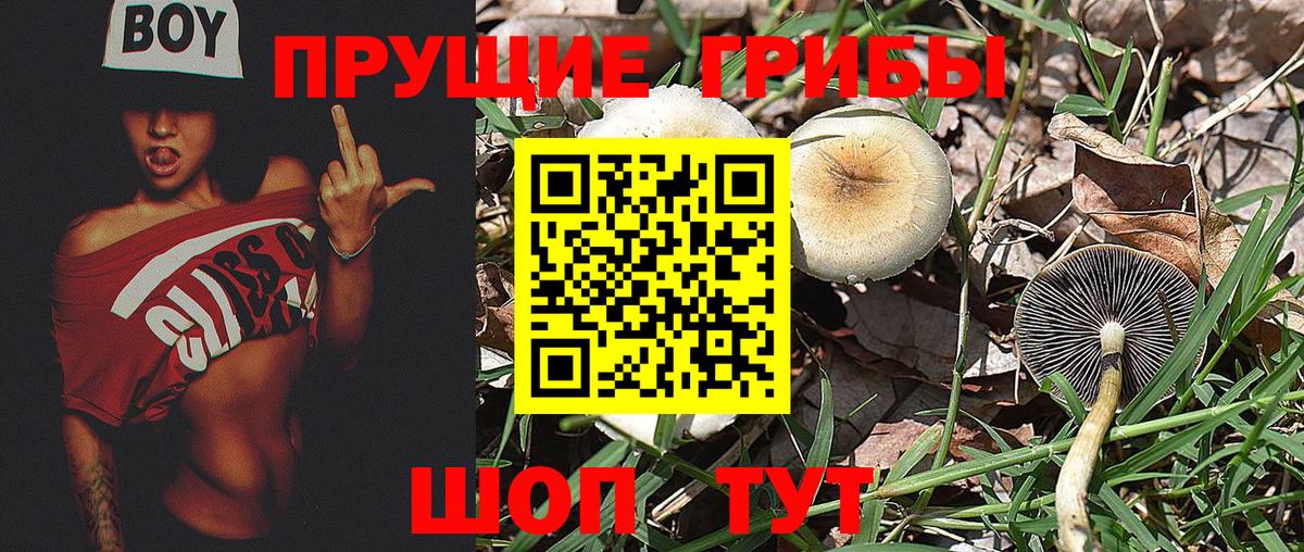 Вольск  Галлюциногенные грибы GOLDEN TEACHER  Вход с VPN 