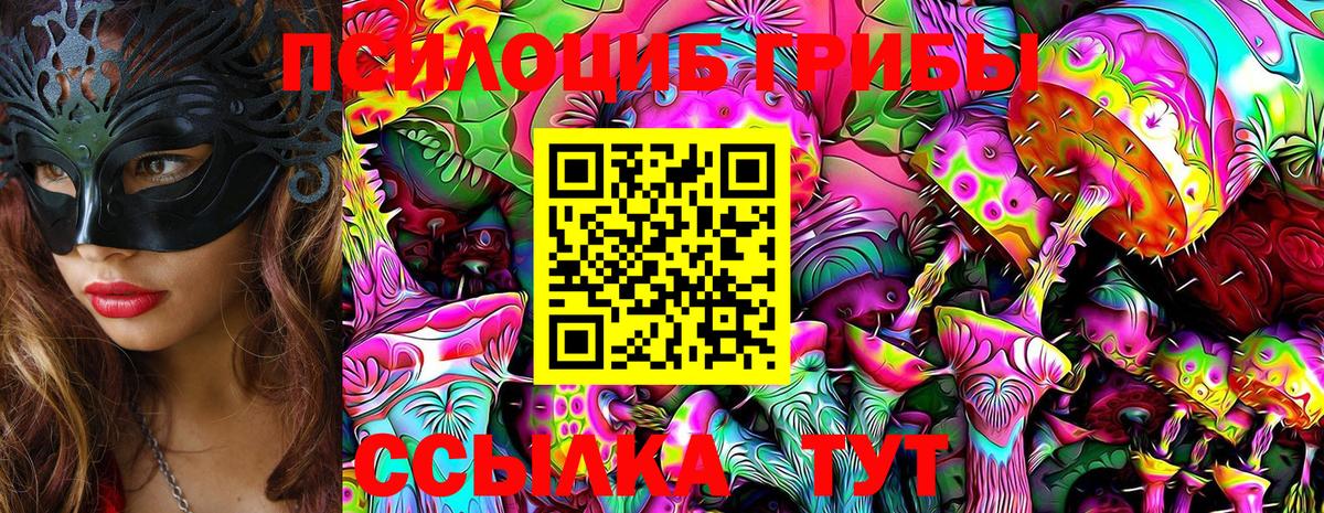 Псилоцибиновые грибы ЛСД Вольск